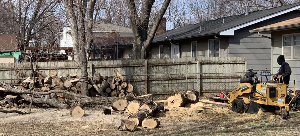 Reliable Stump Removal & Tree Service in Clearwater KS | (316) 218-2603