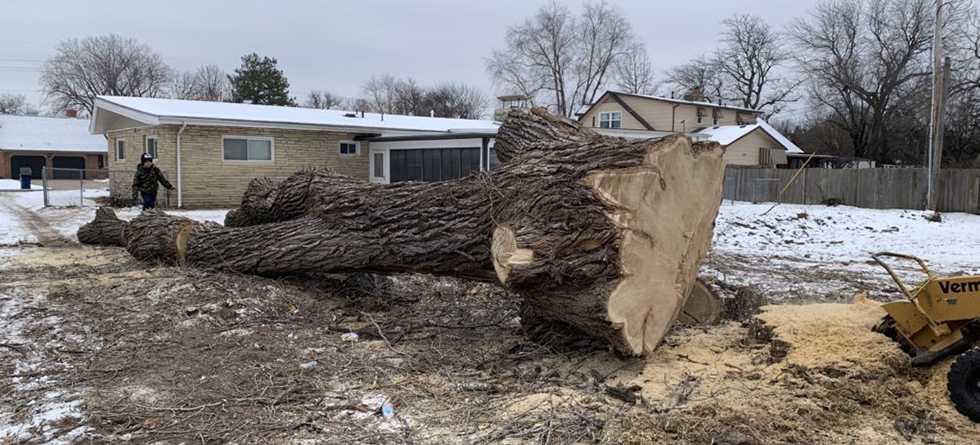 Top Stump Removal & Tree Service in Andover KS | Call For Quote