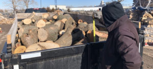 Top Stump Removal & Tree Service in Garden Plain KS