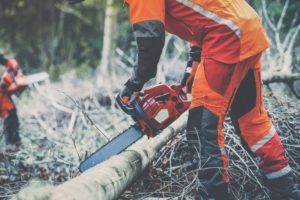 What Is The Main Tool That Most Arborists Must Have