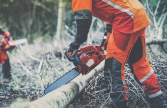 What Is The Main Tool That Most Arborists Must Have?