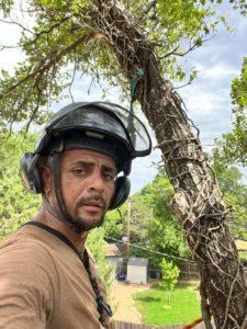 What Personal Characteristics Should An Arborist Have