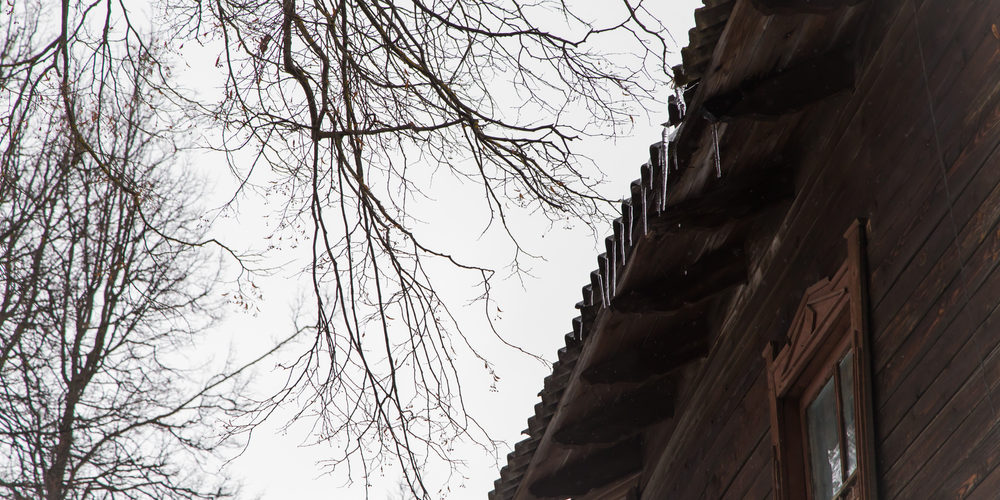 Should Tree Branches Hang Over Roof?