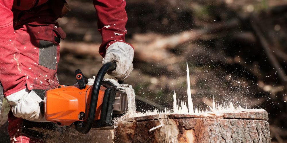 Can I Grind A Stump With A Chainsaw?