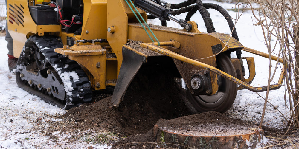 How Do You Get Rid Of A Stump Without A Stump Grinder?