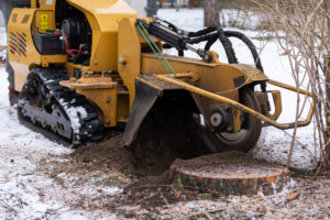 How Do You Get Rid Of A Stump Without A Stump Grinder