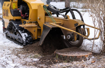 How Do You Get Rid Of A Stump Without A Stump Grinder?