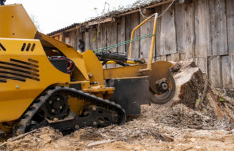 Why Is Stump Grinding So Expensive?