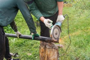 Can You Use An Angle Grinder To Remove A Tree Stump