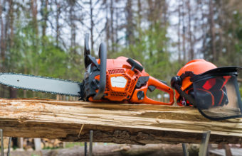 Do Arborists Use Chainsaws?