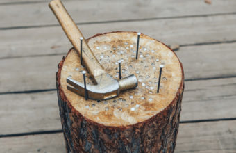 How Do You Get Rid Of A Tree Stump With Copper Nails?