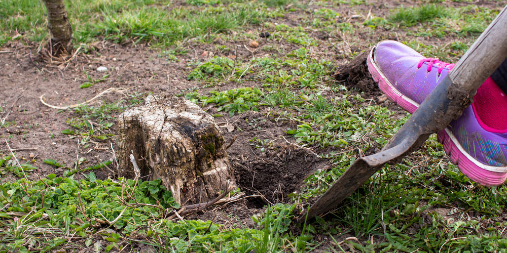 How Do You Remove A Stump By Hand?