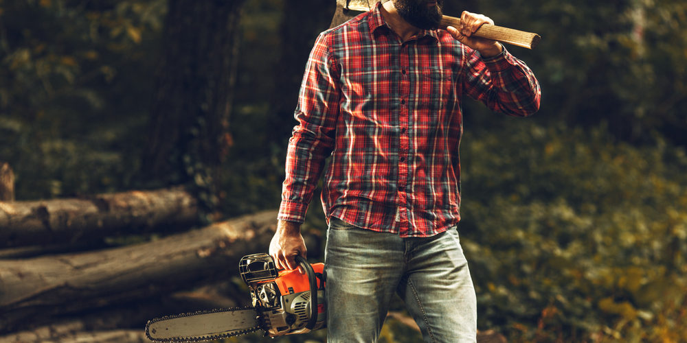 What Is The Difference Between A Lumberjack And An Arborist?