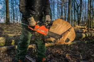 How Big Of A Tree Can A 20-inch Chainsaw Cut