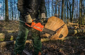 How Big Of A Tree Can A 20-inch Chainsaw Cut?